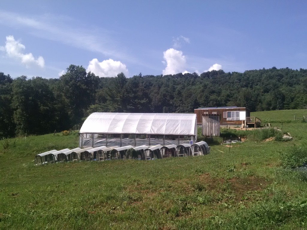 The farm with chicken cages for studies, and a new energy efficient building in the background.