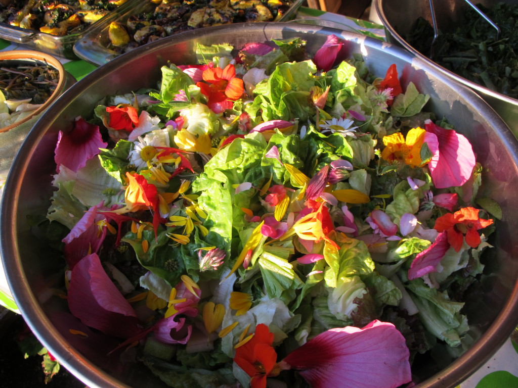 Can't beat botanical bling. A feast with the eyes alone!