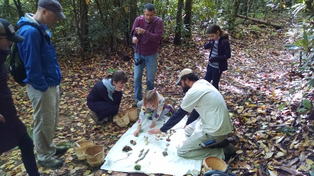 One of the younger participants educating Marc on the importance of mushrooms and their proper identification.