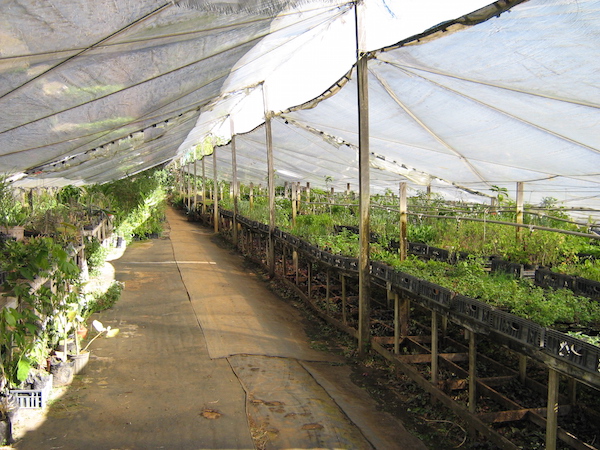 Ark Herb Farm Costa RIica