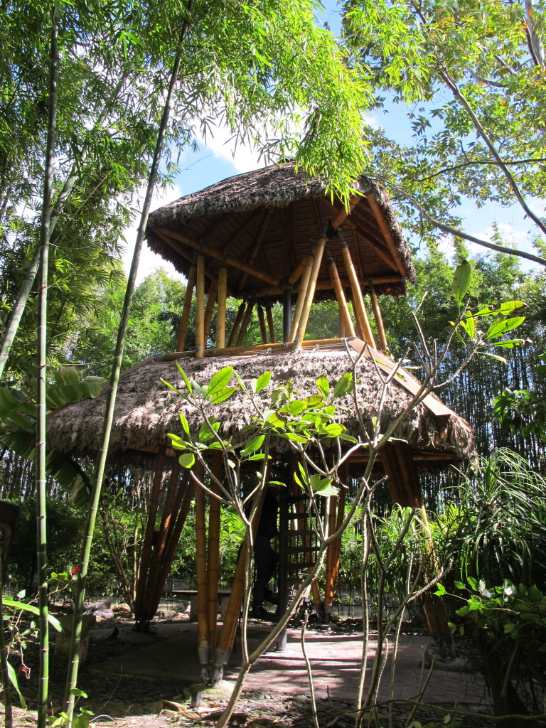 Bamboo Lookout at Tropical Bamboo Nursery