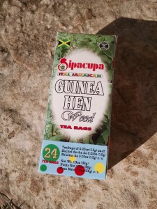 Neat wild tea Guinea Hen Weed (Petiveria alliacea)