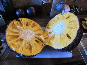 Jackfruit