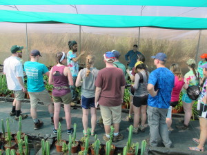 Tin teaching at Ark Herb Farm for Univeristy students from New York