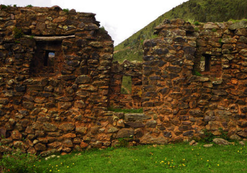 Peru Botanical Tour