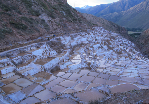 Peru Botanical Trip